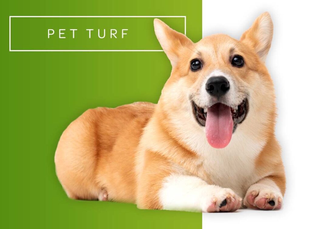 Pet Turf Graphic with Cute Dog