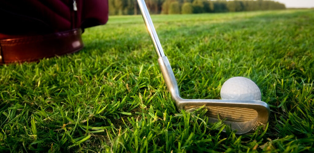 Artificial Golf Turf Background Image